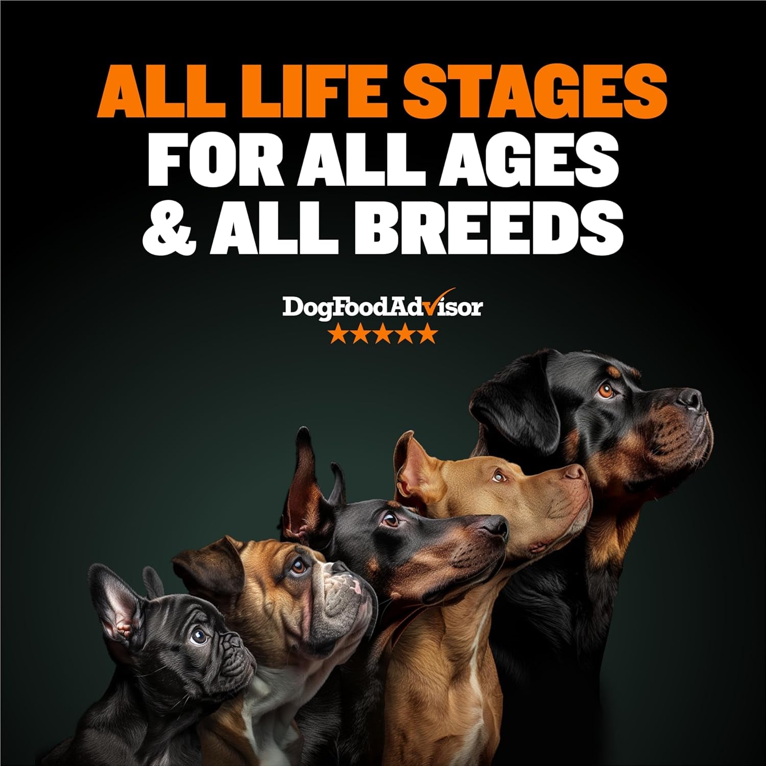 Dry Dog Food for Adults & Pupppies - High Protein & Fat for Muscle & Weight Gain - High Performance Dog Food Supplements - Small & Large Breed Dogs (535 Calories per Cup), Chicken, 5Lb Bag